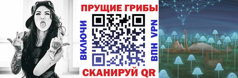 Купить  Апатиты  Псилоцибиновые грибы Psilocybe 